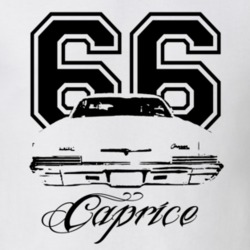 1966 Chevy Caprice Rear View Year Model Name Light Shirt