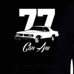 1977 PONTIAC CAN AM Side View Year Model White Graphic Dark Hooded Pul