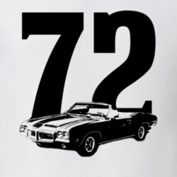 1972 Convertible Pontiac  Lemans  Side Year Light Color Shirt