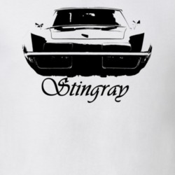 1972 Stingray Grill View With Model Name Light Color Shirt