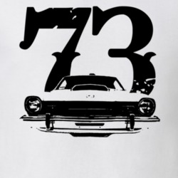 1973 Comet Grill View With Year Light Color Shirt