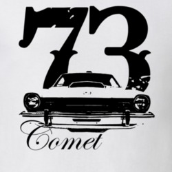 1973 Comet Grill View With Year and Model Light Color Shirt
