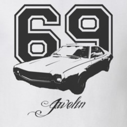 1969 AMC Javelin Grill View With Year Model Light Shirt