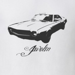 1969 AMC Javelin Grill View With Model Light Color Shirt