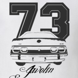1973 AMC  Javelin Rear Year Model Light Color Shirt