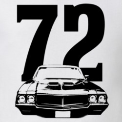 1972 Grand Sport 455 Grill View Year Light Color Shirt