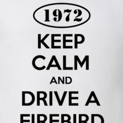 Keep Calm and Drive A Firebird Funny T Shirt