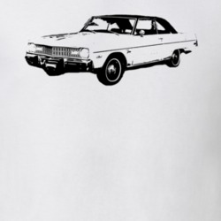 1973 Dodge Dart Swinger Side View Light Color Shirt