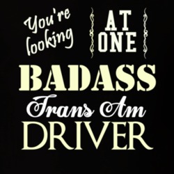 Your Looking At One Badass Trans Am Driver  T Shirt