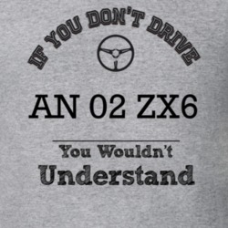 If You Dont Drive An 02 Zx6 You Wouldn?T Understand Faded Look T Shirt