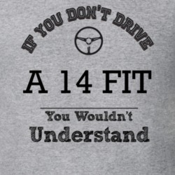 If You Dont Drive A 14 Fit You Wouldn?T Understand Faded Look T Shirt