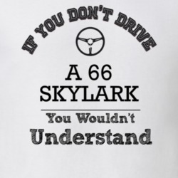 If You Dont Drive A 66 Skylark You Wouldn?T Understand Faded Look T Sh