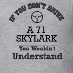 If You Dont Drive A 71 Skylark You Wouldn?T Understand Faded Look T Sh
