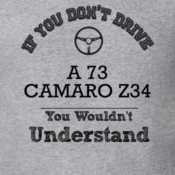 If You Dont Drive A 73 Camaro Z34 You Wouldn?T Understand Faded Look T