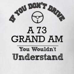 If You Dont Drive A 73 Grand Am You Wouldn?T Understand Faded Look T S