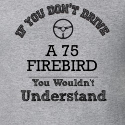If You Dont Drive A 75 Firebird You Wouldn?T Understand Faded Look T S