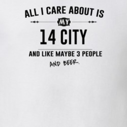 All I Care About Is My 14 City And Beer Funny T Shirt