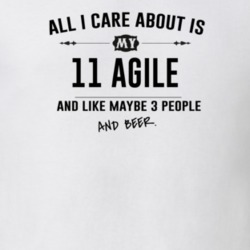 All I Care About Is My 11 Agile And Beer Funny T Shirt