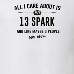 All I Care About Is My 13 Spark And Beer Funny T Shirt