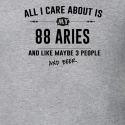 All I Care About Is My 88 Aries And Beer Funny T Shirt
