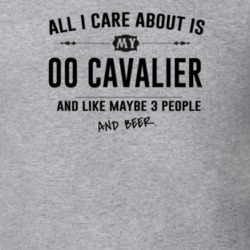 All I Care About Is My 00 Cavalier And Beer Funny T Shirt