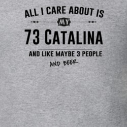 All I Care About Is My 73 Catalina And Beer Funny T Shirt