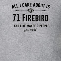 All I Care About Is My 71 Firebird And Beer Funny T Shirt