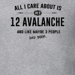 All I Care About Is My 12 Avalanche And Beer Funny T Shirt