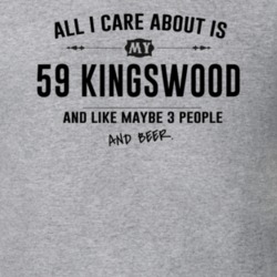 All I Care About Is My 59 Kingswood And Beer Funny T Shirt