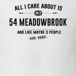 All I Care About Is My 54 Meadowbrook And Beer Funny T Shirt