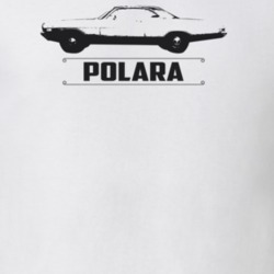 1971 Polara Side View With Model Light Color T Shirt