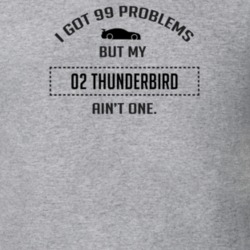 I Got 99 Problems But My Ford Thunderbird Ain't One Funny T Shirt