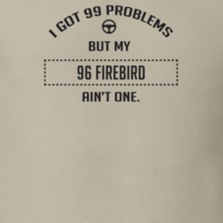 I Got 99 Problems But My 1996 Firebird Ain't One Funny T Shirt