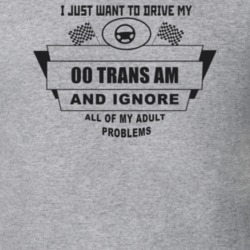 I Just Want To Drive My 2000 Trans Am And Ignore All My Adult Problems