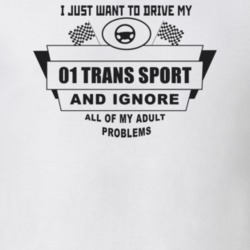 I Just Want To Drive My 2001 Trans Sport And Ignore All My Adult Probl