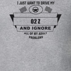 I Just Want To Drive My 2002 Z And Ignore All My Adult Problems Funny 