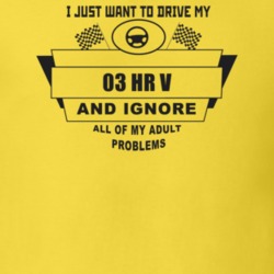 I Just Want To Drive My 2003 Hr V And Ignore All My Adult Problems Fun
