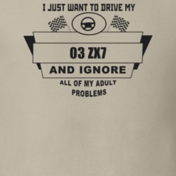 I Just Want To Drive My 2003 Zx7 And Ignore All My Adult Problems Funn