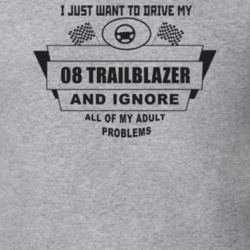 I Just Want To Drive My 2008 Trailblazer And Ignore All My Adult Probl