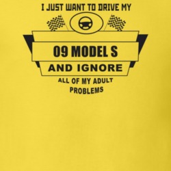 I Just Want To Drive My 1909 Model S And Ignore All My Adult Problems 