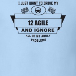 I Just Want To Drive My 2012 Agile And Ignore All My Adult Problems Fu