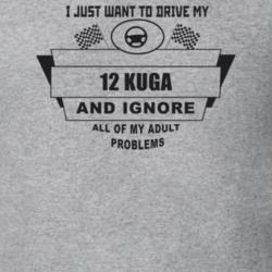 I Just Want To Drive My 2012 Kuga And Ignore All My Adult Problems Fun