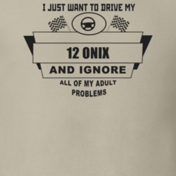 I Just Want To Drive My 2012 Onix And Ignore All My Adult Problems Fun