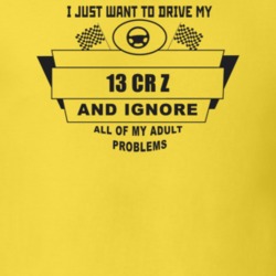I Just Want To Drive My 2013 Cr Z And Ignore All My Adult Problems Fun