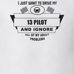 I Just Want To Drive My 2013 Pilot And Ignore All My Adult Problems Fu