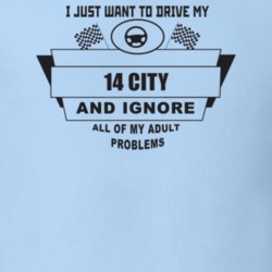 I Just Want To Drive My 2014 City And Ignore All My Adult Problems Fun