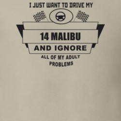 I Just Want To Drive My 2014 Malibu And Ignore All My Adult Problems F