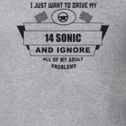 I Just Want To Drive My 2014 Sonic And Ignore All My Adult Problems Fu