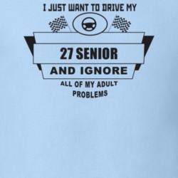 I Just Want To Drive My 1927 Senior And Ignore All My Adult Problems F