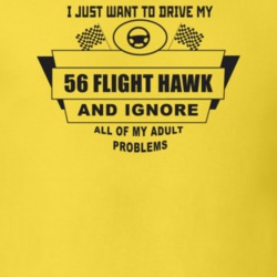 I Just Want To Drive My 1956 Flight Hawk And Ignore All My Adult Probl